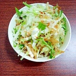 白菜・水菜とカッテージチーズの和風オニオンサラダ